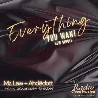 Everything You Want (Radio Edit)