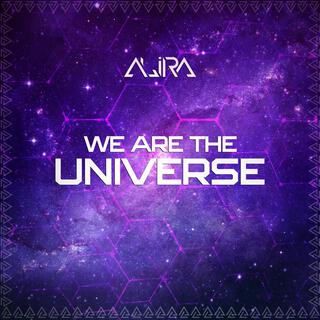 We Are The Universe