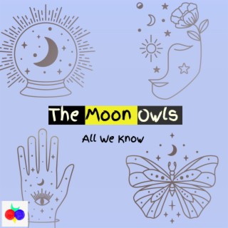 The Moon Owls