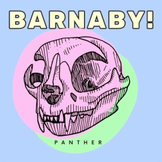 Panther lyrics | Boomplay Music