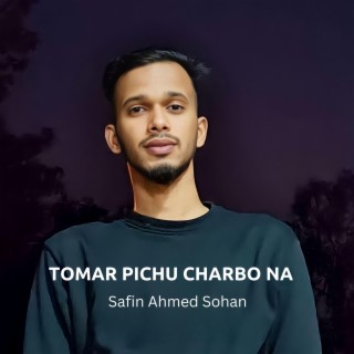 Tomar Pichu Charbo Na lyrics | Boomplay Music