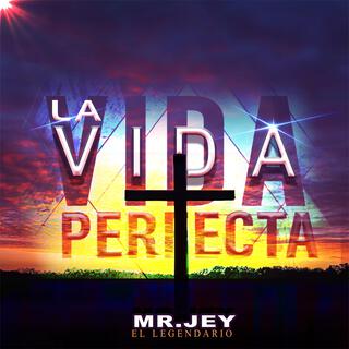 La Vida Perfecta lyrics | Boomplay Music