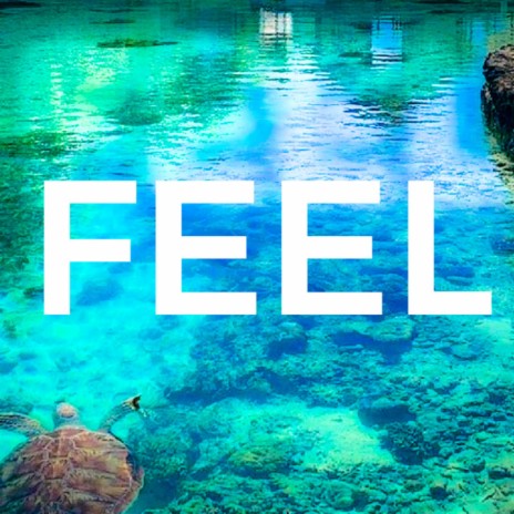 FEEL | Boomplay Music