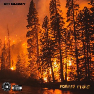 Forest Fires