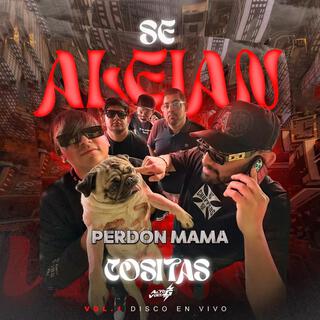 Perdón Mamá (No Fui Lo Que Quisiste) lyrics | Boomplay Music