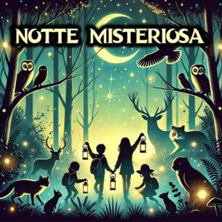 Notte Misteriosa