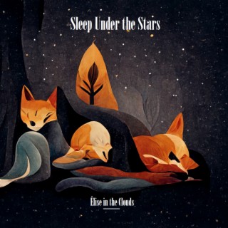 Sleep Under the Stars