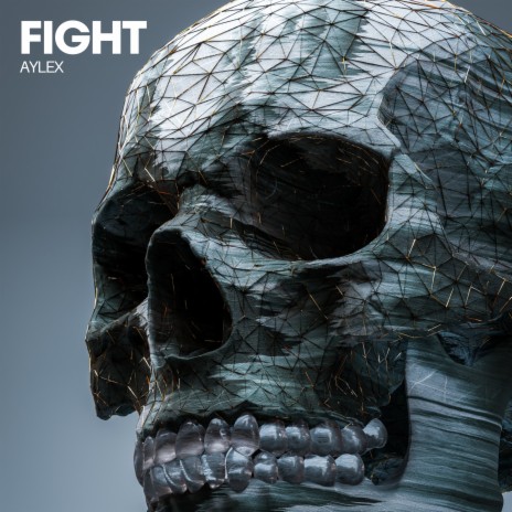 Fight | Boomplay Music