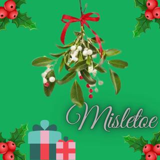 Misletoe