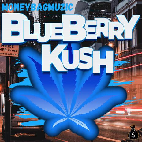 BLUEBERRYKUSH | Boomplay Music