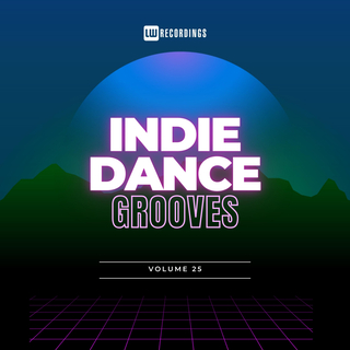 Indie Dance Grooves, Vol. 25