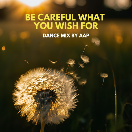 Be Careful What You Wish For ((Dance Mix)) | Boomplay Music