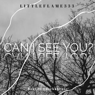 Can I See You? lyrics | Boomplay Music