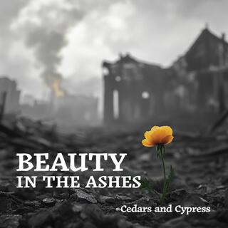 Beauty in the Ashes