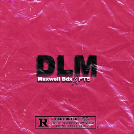 DLM ft. PTS | Boomplay Music
