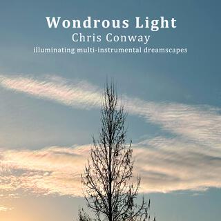 Wondrous Light