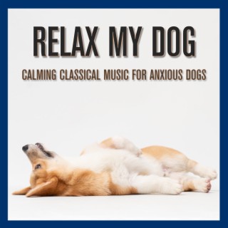 Relax My Dog: Calming Classical Music for Anxious Dogs