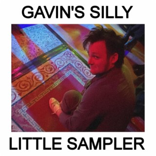 Gavin's Silly Little Sampler