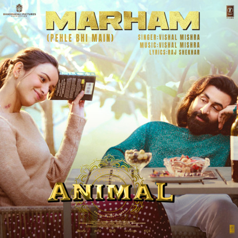 Marham (Pehle Bhi Main) [From Animal] | Boomplay Music