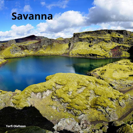 Savanna | Boomplay Music