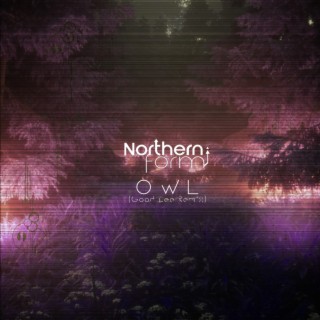 Owl (Good Lee Remix)
