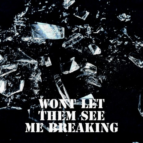 Wont Let Them See Me Breaking | Boomplay Music