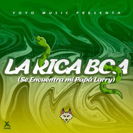 La Rica Boa (Se Encuentra Mi Papá Larry) | Boomplay Music