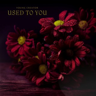 Used To You