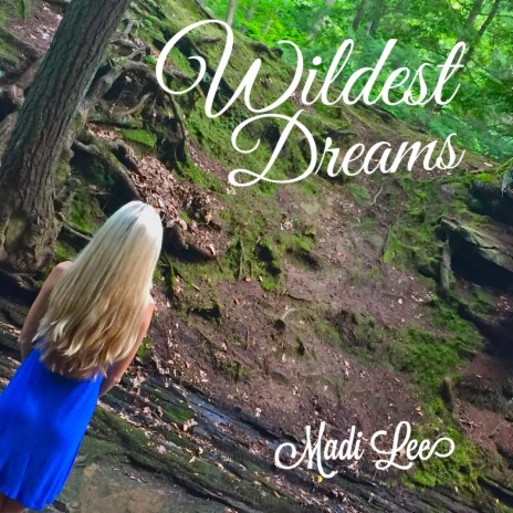 Wildest Dreams | Boomplay Music