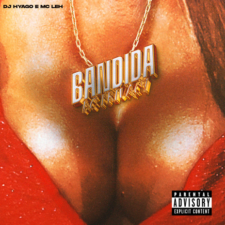 Bandida do Privacy ft. DJ Hyago | Boomplay Music