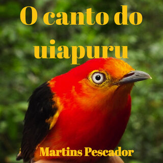 O canto do uiapuru