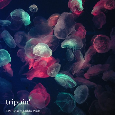 Trippin' ft. Kiddo Wuh | Boomplay Music