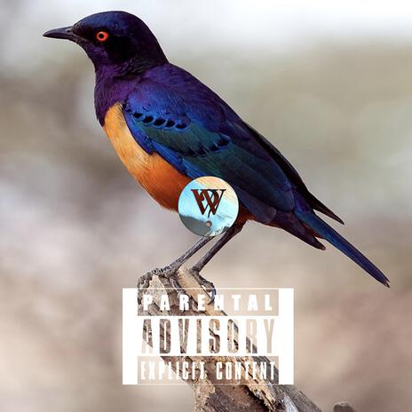 Bird Is The Word | Boomplay Music