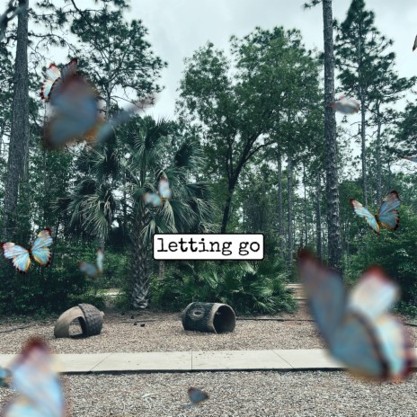 letting go | Boomplay Music