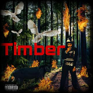 Timber