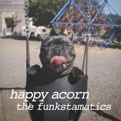 Happy Acorn | Boomplay Music