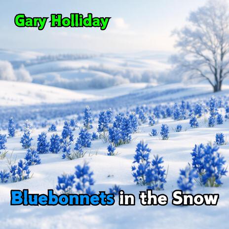 Bluebonnets In The Snow | Boomplay Music