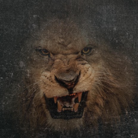 Roaring Lion | Boomplay Music