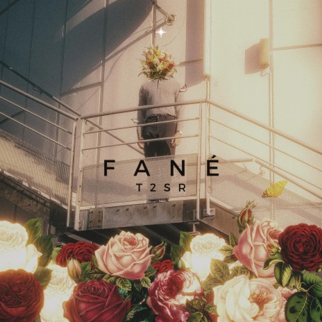 Fané | Boomplay Music