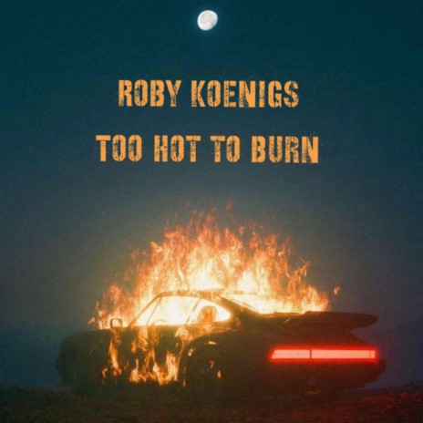 Too Hot To Burn | Boomplay Music
