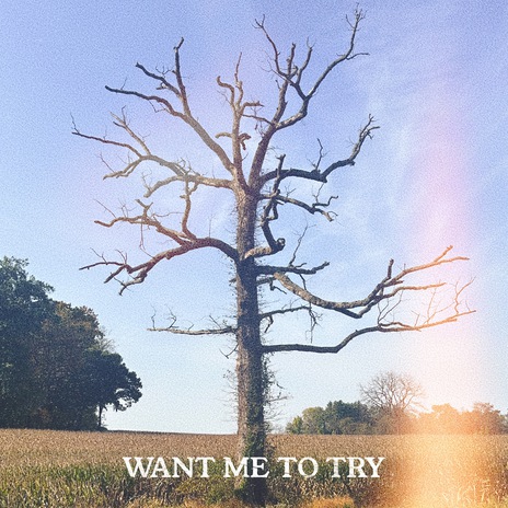 Want Me To Try ft. Ty March. | Boomplay Music