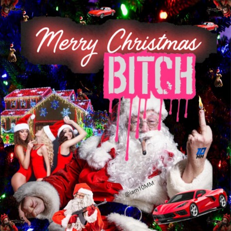 Merry Christmas Bitch