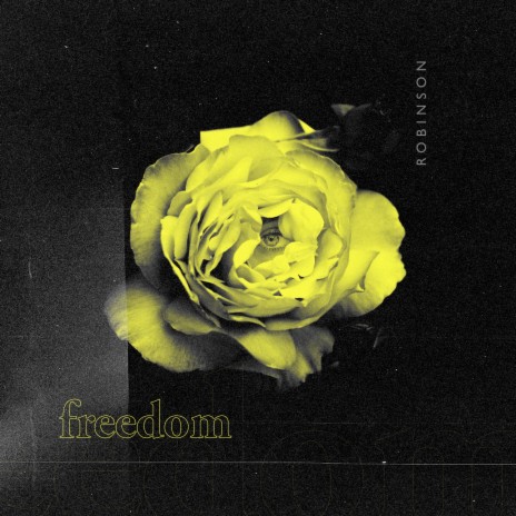 Freedom | Boomplay Music