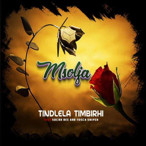 Tindlela timbiri | Boomplay Music