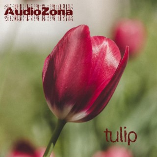 Tulip