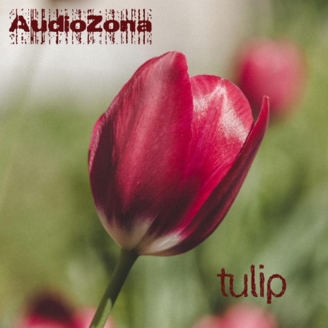 Tulip | Boomplay Music