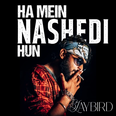 Ha Mein Nashedi Hun - 1 Min Music