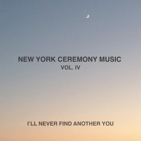 I'll Never Find Another You | Boomplay Music