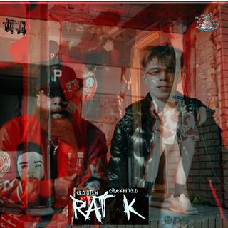 Rat K