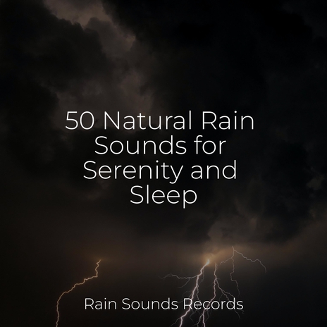 Misty Canopy Whispers ft. Meditation Rain Sounds & Rain for Deep Sleep | Boomplay Music